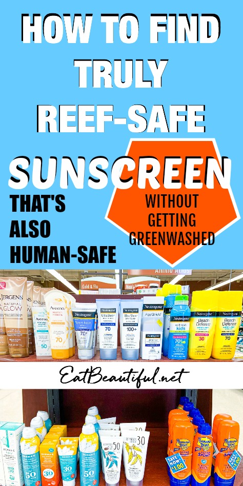 Navigating the Sunscreen Market: A Cruelty-Free Guide to Protecting Your Skin